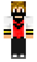 NovaPixell minecraft skin