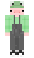 18243b6a9fa8e3 minecraft skin