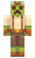 SimplyLagNoHacks minecraft skin