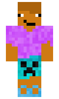 184b3cc33db294 minecraft skin