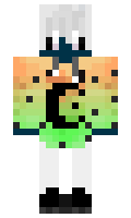 Selevr minecraft skin