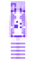 eua minecraft skin