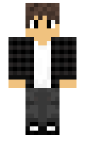 N1koTZ minecraft skin