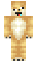 18d0b53599fc41 minecraft skin