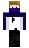 ProCookies1704 minecraft skin