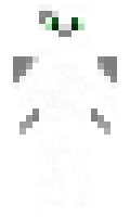 Blackilykat minecraft skin