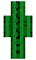 Oneironaut minecraft skin