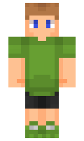 191884f642312e minecraft skin