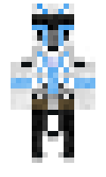 Dzienys minecraft skin