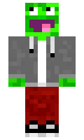 Palionowy minecraft skin