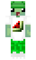 HonzikMachy minecraft skin