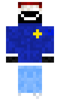 zvzw minecraft skin