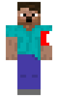 safasca minecraft skin