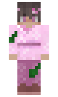 19800fbeffb52b minecraft skin