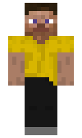 BinEinBuilder minecraft skin