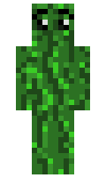 Lavakiddo minecraft skin