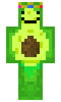 vakado minecraft skin