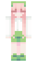 DrTurtle7725 minecraft skin