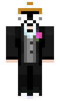 SaintsSection minecraft skin