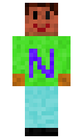 Alwin1010 minecraft skin