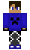 wste minecraft skin