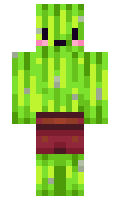 elytraphob minecraft skin