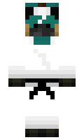 1a45ba1b96dda2 minecraft skin