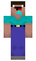 steveduc1234 minecraft skin