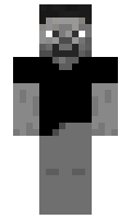 Dsgs minecraft skin