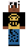 1a68bcbf53f351 minecraft skin