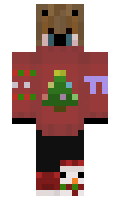 1aa128fe621144 minecraft skin