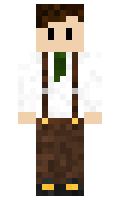 1aa988eb73495c minecraft skin