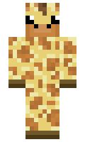 1aca9e7c811e67 minecraft skin