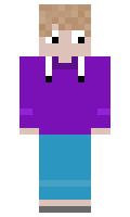 1acd3208184a23 minecraft skin