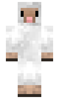 1ad6cef3b71f98 minecraft skin