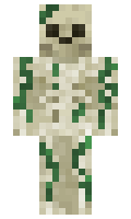 TheBst minecraft skin