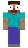 JAVA minecraft skin