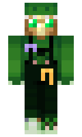 1b14c257969308 minecraft skin