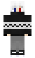 Pady minecraft skin