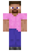 1b2b695c196b9b minecraft skin