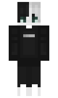 SER11 minecraft skin