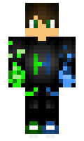 Fowllow minecraft skin