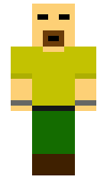 1000 minecraft skin