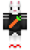 SeltoDdc minecraft skin