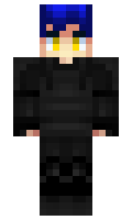 Statistics minecraft skin