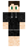 ArtieFire minecraft skin