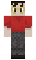 1bf1c10022b2fe minecraft skin