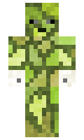 1c15f83f1dc708 minecraft skin