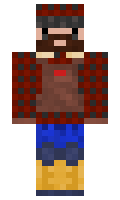 looppp minecraft skin