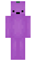 Heath minecraft skin